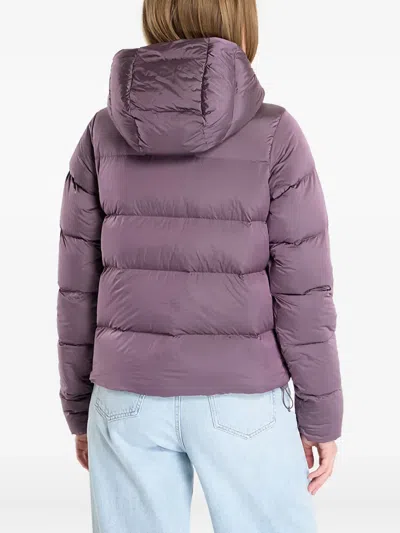 Columbia Amaze Puff™ Hooded Jacket In Purple