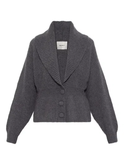 Lisa Yang Button Shawl-collar Cardigan In Gray