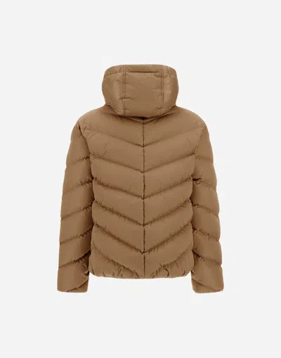 Herno Cape In Satin In Brown