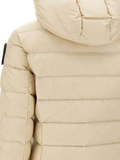 Blauer Charme Quilted Hooded Jacket In Metallic