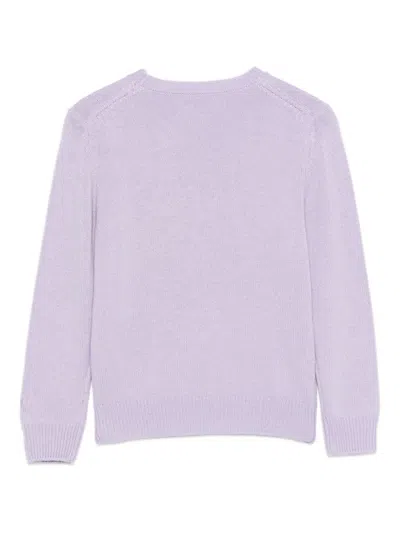 Mc2 Saint Barth Squirrel-embroidered Sweater In Purple