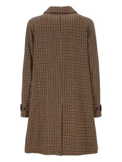 Sebago Checked Trench Coat In Multi