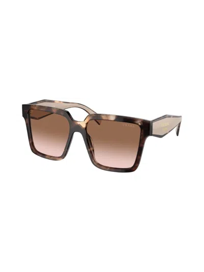Prada Pr 24zs 07r0a6 56mm Womens Square Sunglasses In Brown