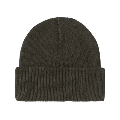 Carhartt Ohio Beanie In Green