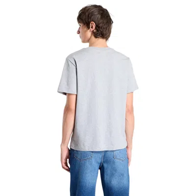 Apc T Shirt Standard Grand Vpc In Gray