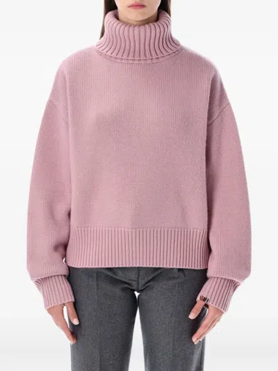 Extreme Cashmere Ribbed Roll-neck Sweater In Pink