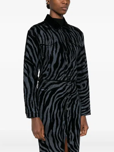 Pence Amelia Zebra-print Collared Jacket In Black
