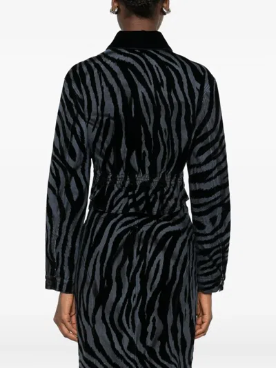 Pence Amelia Zebra-print Collared Jacket In Black