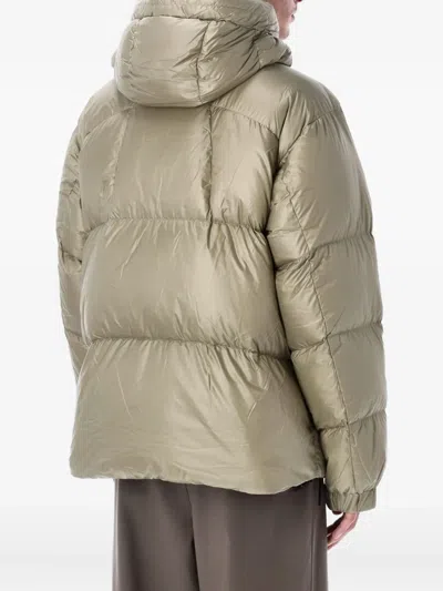 Goldwin Hooded Padded Jacket In Green