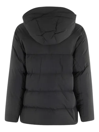 Aspesi Hooded Puffer Jacket In Black