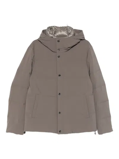 Montecore Hooded Button Coat In Gray
