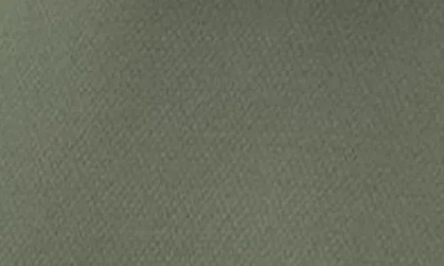 Asrv Aerosilver® Established Tee In Green