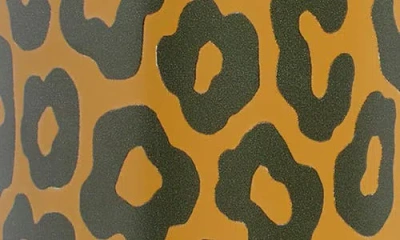 Orly 24oz. Insulated Stainless Steel Water Bottle In Brown