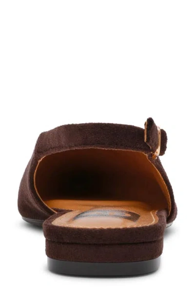 Dolce Vita Dv By  Empress Pointed Toe Slingback Flat In Brown