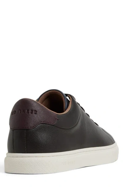 Ted Baker London Robbert Sneaker In Brown