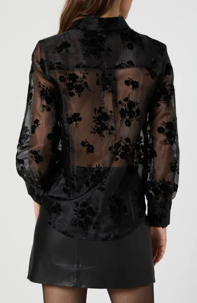 French Connection Velvet Burnout Organza Sheer Shirt In Black