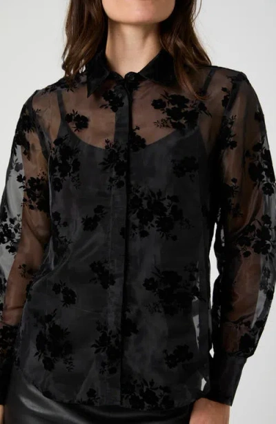 French Connection Velvet Burnout Organza Sheer Shirt In Black