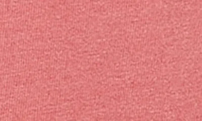 Spiritual Gangster Jagger Cotton Crop Tank In Brown