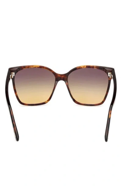 Tom Ford Iris 56mm Gradient Butterfly Sunglasses In Brown