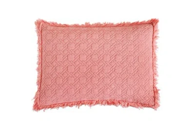 C & F Home C&f Home Trellis Cotton Quilt Set In Pink