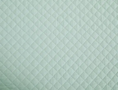 C & F Home C&f Home Kya Cotton Quilt Set In Green