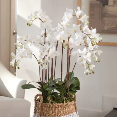 Napa Home & Garden 36in Phalaenopsis Drop-in In White