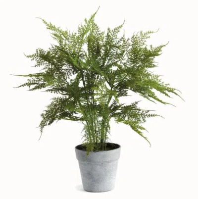 Napa Home & Garden Plumosa Fern Artificial Plant Drop-in In Green