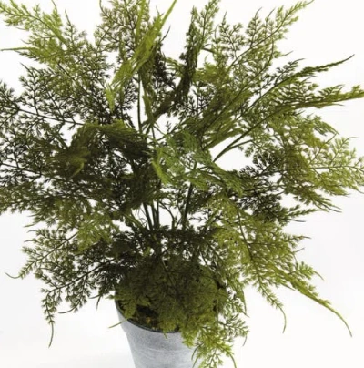 Napa Home & Garden Plumosa Fern Artificial Plant Drop-in In Green