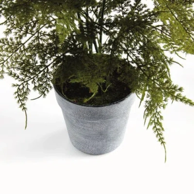 Napa Home & Garden Plumosa Fern Artificial Plant Drop-in In Green