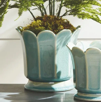 Napa Home & Garden Plumosa Fern Artificial Plant Drop-in In Green