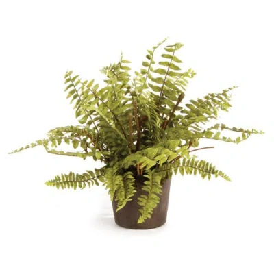 Napa Home & Garden Boston Fern Drop-in 12" In Green
