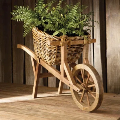 Napa Home & Garden Boston Fern Drop-in 12" In Green