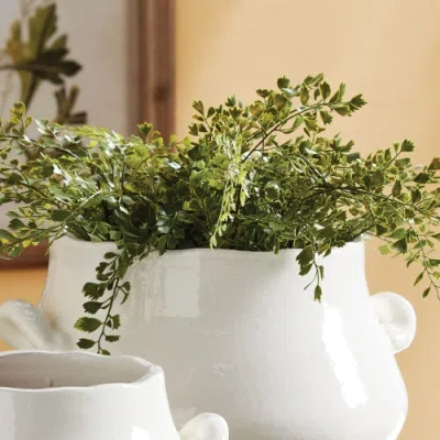 Napa Home & Garden 18in Maidenhair Drop-in For Pots In Green