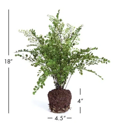 Napa Home & Garden 18in Maidenhair Drop-in For Pots In Green