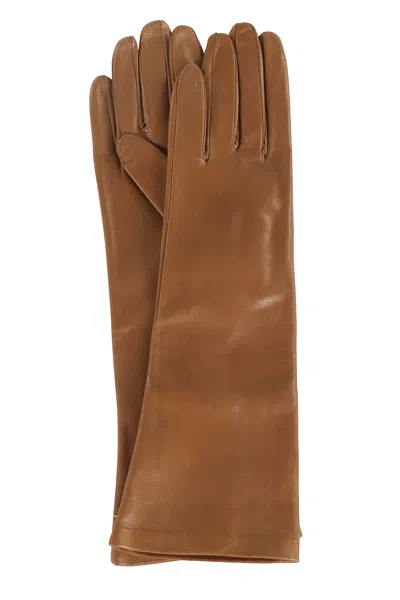 Tela Guanti Louise In Brown
