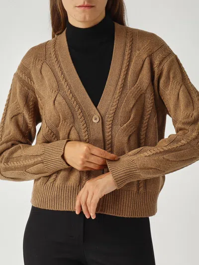 Max Mara Aladino Cardigan In Brown