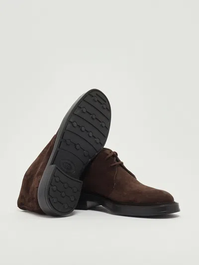 Tod's 61k Polacco Extralight Laced Shoe In Brown