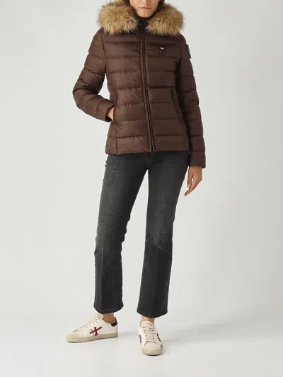 Blauer Arcadia Jacket In Brown