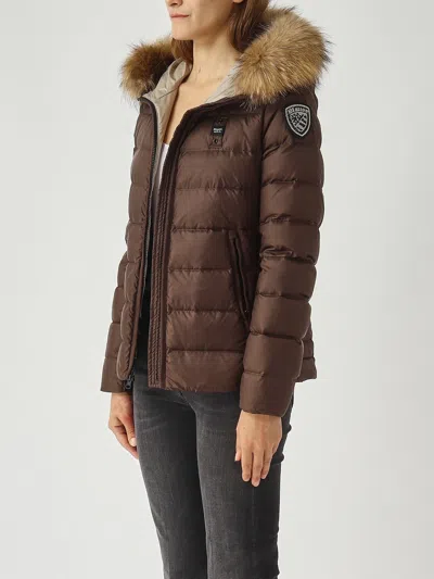 Blauer Arcadia Jacket In Brown
