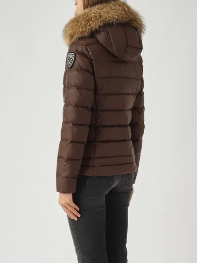 Blauer Arcadia Jacket In Brown