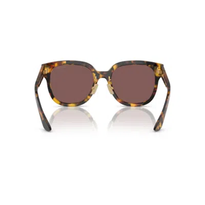 Miu Miu Womens Brown Mu 01zs Square-frame Acetate Sunglasses In Purple