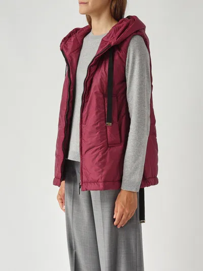 Max Mara The Cube Greengo Red Jacket In Burgundy