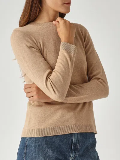 Gran Sasso Lana Vergine Sweater In Brown