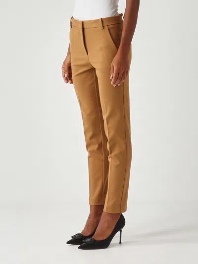 Pinko Bello Pantalone Trousers In Brown