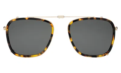 Illesteva Lafayette Clip On