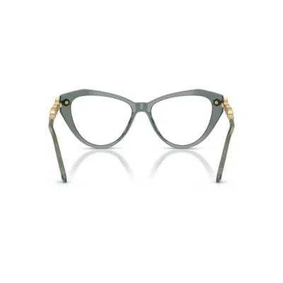 Swarovski 53mm Cat Eye Optical Glasses In Green