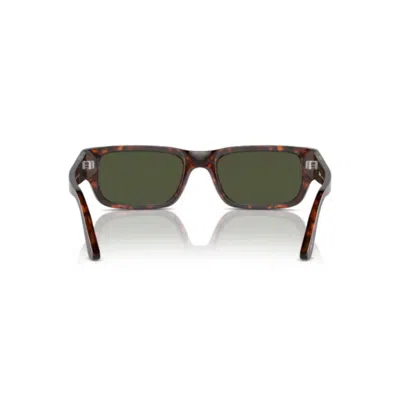 Persol 3347s Sole24/31 In Brown