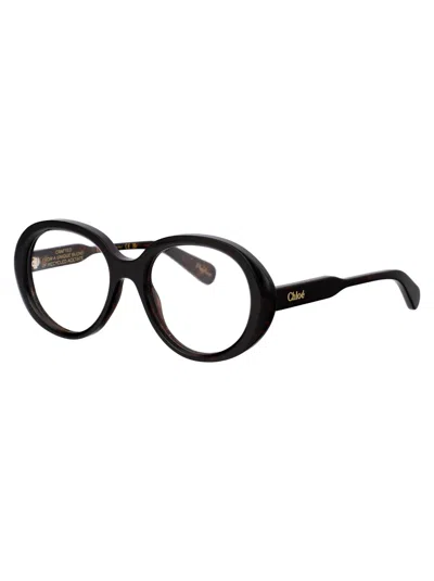Chloé Havana Havana Transparent Acetate Glasses In Black
