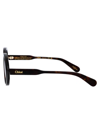 Chloé Havana Havana Transparent Acetate Glasses In Black