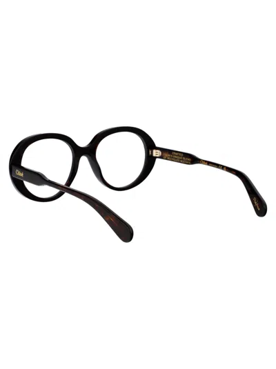 Chloé Havana Havana Transparent Acetate Glasses In Black